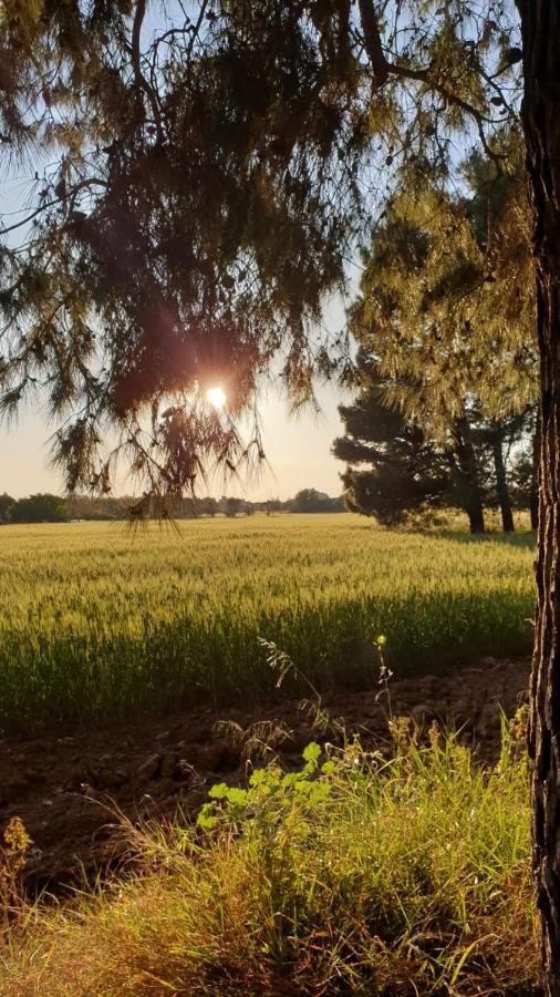Masseria Vivi Il Salento Santa Caterina  Екстериор снимка