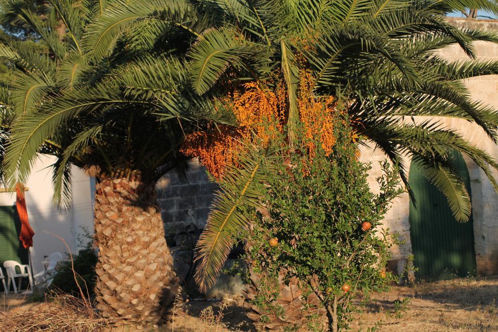 Masseria Vivi Il Salento Santa Caterina  Стая снимка