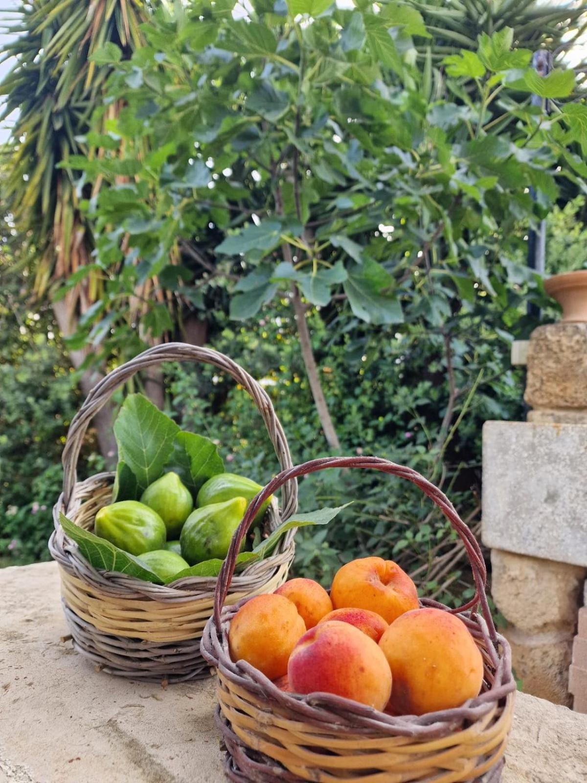 Masseria Vivi Il Salento Santa Caterina  Екстериор снимка