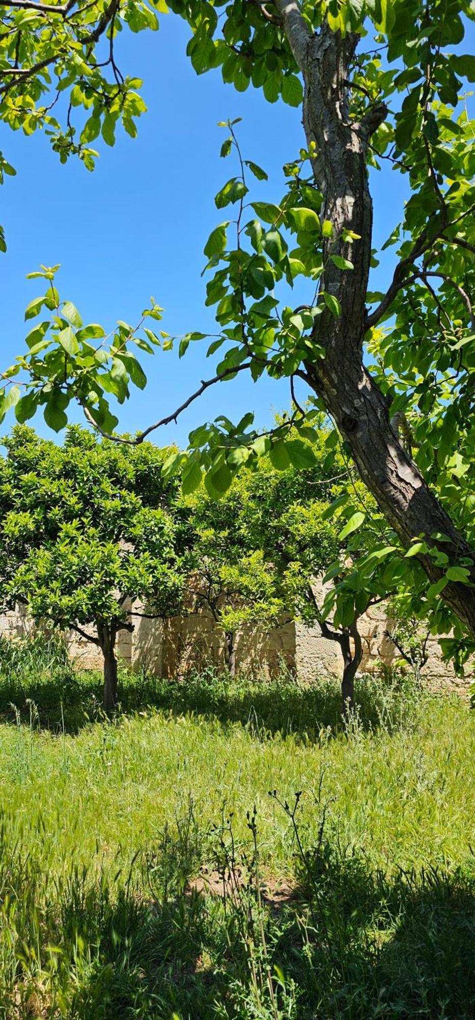 Masseria Vivi Il Salento Santa Caterina  Екстериор снимка