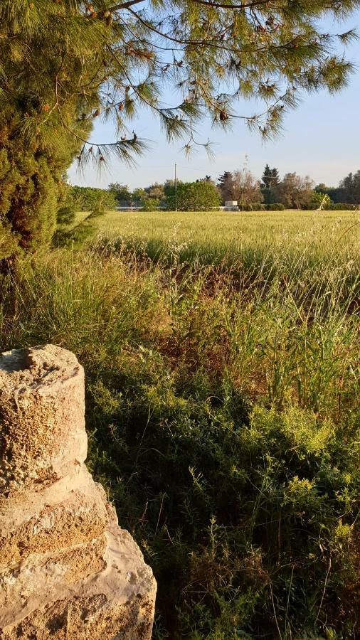 Masseria Vivi Il Salento Santa Caterina  Екстериор снимка